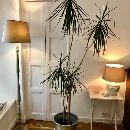 Coeur Saint-martin *